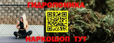 стаф Бугуруслан